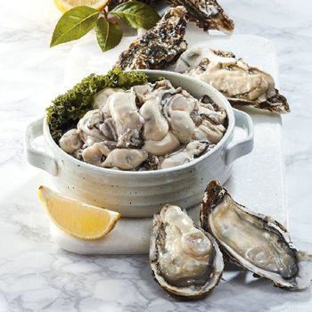 25년 통통한 통영 생굴 1kg[35589792]