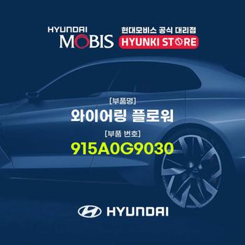 와이어링 플로워 (915A0G9030)