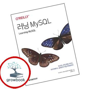 러닝 MySQL 러닝MySQL 책