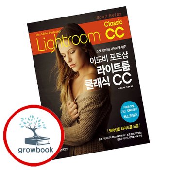 어도비 포토샵 라이트룸 클래식 CC 어도비포토샵라이트룸클래식CC 책