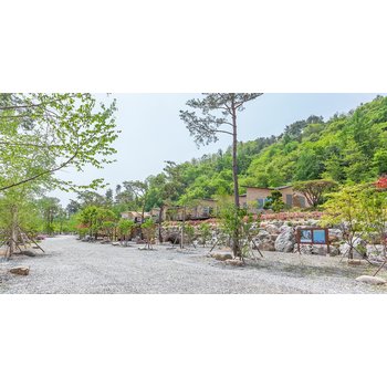 [정선군] 산아래곰봉길