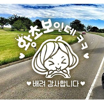 왕초보인데ㅋㅋ B3Y1D1U1 초보자동차스티커-화이트
