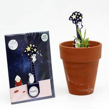 특별 패랭이 꽃 씨앗 카드 새싹 패랭이 꽃 키트 키우기