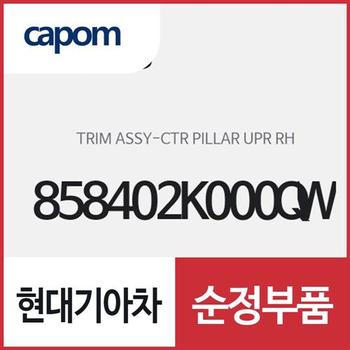 센터 필러 상부 트림,조수석쪽 (858402K000QW) 쏘울