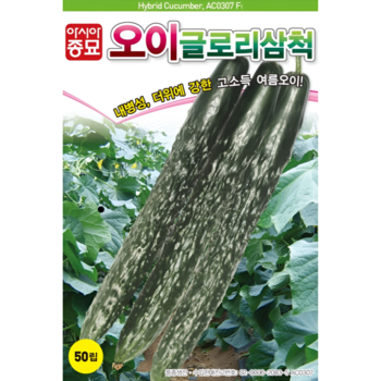아시아종묘 오이 글로리삼척 50립 오이종자 오이씨앗