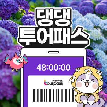 [제주] 댕댕투어패스