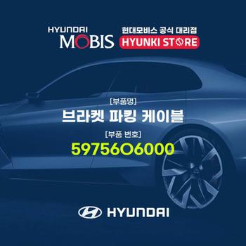 브라켓 파킹 케이블 (59756O6000)