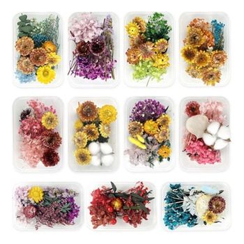 (TD) (꾸미기 재료) 프리저브드 플라워 혼합 대 프리져브드 천일화 드라이플라워 보존화