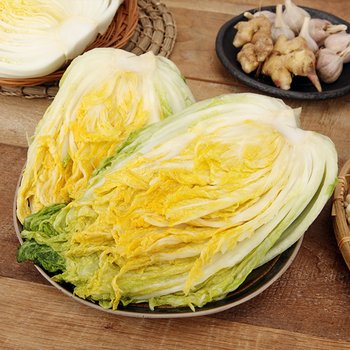 [품질보장][오초록] 괴산 시골 90일 월동배추 절임배추 20kg(7~9 포기 내외) / 3일전 마감