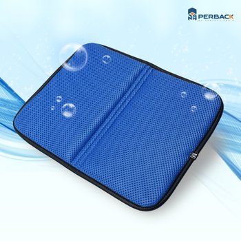 프루프 PB-5000 쾌적 통풍 제습 메쉬 접이식 기능성 방석