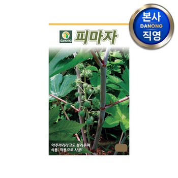 피마자 씨앗 (쯔비마) 1500립 , 채소 텃밭 재배 주말 농장 파종 씨 종자,