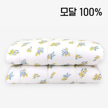 [신세계백화점][SSG 단독할인] 소프트 모달 차렵이불 - 21 Euphorbia (SS/Q)