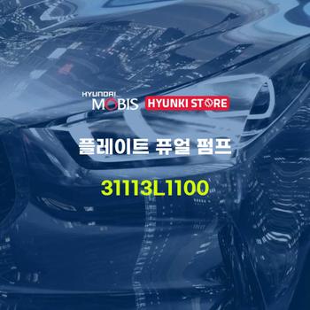 플레이트 퓨얼 펌프 (31113L1100) 현대모비스부품몰