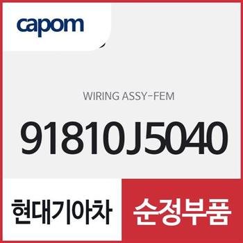 FEM 와이어링 (91810J5040) 스팅어