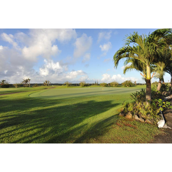 [5月선착순할인특가][부산출발] 괌 골프 5일 골프리조트 18홀*3회+주중9홀서비스라운드 파인이스트CC 파인이스트골프리조트(구)스타츠 2인라운드 수하물23KG2개