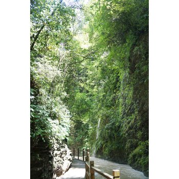 [선착순 8명한정 72기루내부관광]장가계직항 5일 폭포위에 고성 부용진 관광지 중심 5성급호텔 대협곡 천문산+천문산사+귀곡+유리잔도 전신마사지 보봉호수VIP 리무진버스 BBQ푸드트 ...