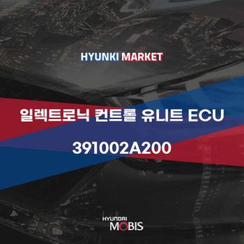 일렉트로닉 컨트롤 유니트 ECU (391002A200)