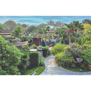 방콕/파타야 5일 TOP PICK NO옵션 4인출발 풀빌라 몽창카페 니모섬