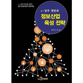 e-정부 개발과 정보산업 육성 전략