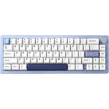 [해외] YUNZII AL66 무선 기계식 게이밍 키보드 65% 알루미늄 핫스왑 RGB 스위치 (밀크 스위치, 블루)