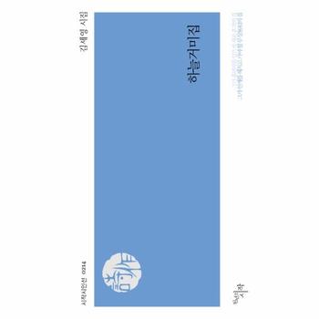 하늘거미집 김세영 시집