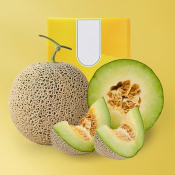 [SSG상품권증정이벤트][1/27일부터 순차출고] [맛딜] 프리미엄 세지 멜론 과일 선물세트 1.6kg