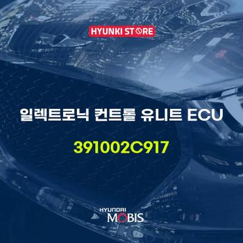 일렉트로닉 컨트롤 유니트 ECU (391002C917)
