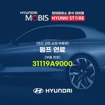 펌프 연료 (31119A9000)
