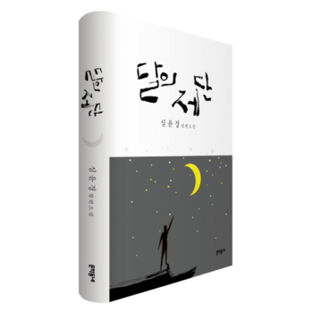 달의 제단 심윤경 장편소설