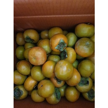 못난이단감10KG 단감 부유단감 태추단감 랜덤 감