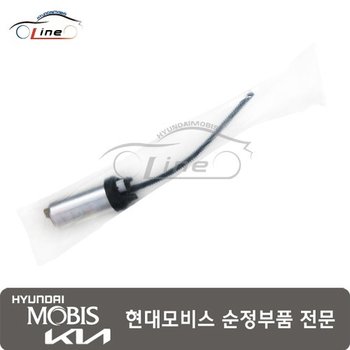 연료 펌프 튜브  31119 L0100