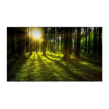 LG전자 UHD 189cm 75UR342C9NC 벽걸이형 TV