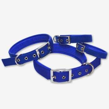 강아지목줄 댕댕이목줄 웨빙목줄 블루 L-WD409D3