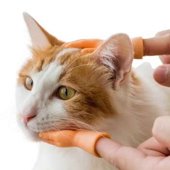 고양이장갑 냥이장난감 고양이소품 고양이 손가락 마사지