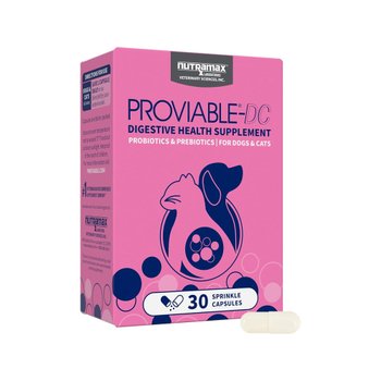 [해외] 뉴트라맥스 Proviable DC 강아지 고양이 유산균 30캡슐 무료배송 관부가세 포함