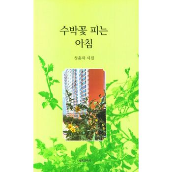 수박꽃 피는 아침