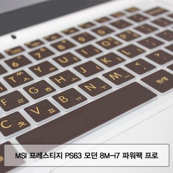 MSI 프레스티지 PS63 모던 8M-i7 파워팩 프로 말싸미키스킨