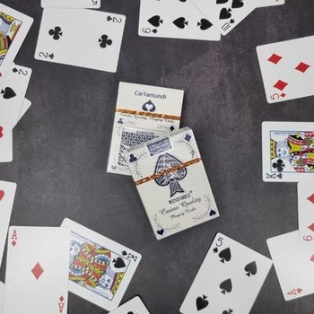 다번다 프리미엄 고퀄리티 카지노전용 트럼프카드 가족놀이 카드_23191550