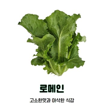 자연미가 국내산 무농약상추 로메인 1kg ~4kg  /  쌈채소의대표 고소한맛과 아삭한식감~