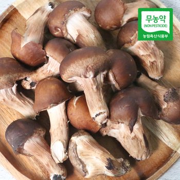 [생산자직송] 충북 박대선님의 무농약 참송이 버섯 1kg(상품)