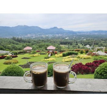 [신규취항] 마나도 직항 5일 포포인츠바이쉐라톤 프리미어디럭스씨뷰룸업글 부나켄호핑투어 토모혼 선셋투어 전신마사지 마나도시내관광 특식4회 노쇼핑노옵션노팁