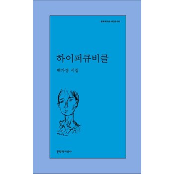 하이퍼큐비클 (문학과지성 시인선 612)