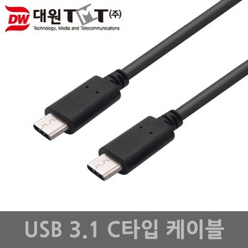 대원TMT DW-CT301 Type C to C 충전 케이블 (1m)