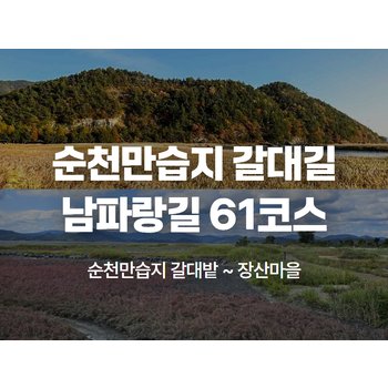 [당일/10~11월] `황금빛 갈대군락과 드넓은 갯벌 둑길` - 순천만습지 생태 탐방 & 남파랑길 61코스 트레킹