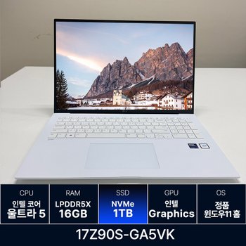 LG전자 LG그램 17Z90S-GA5VK RAM 16GB 1TB 교체