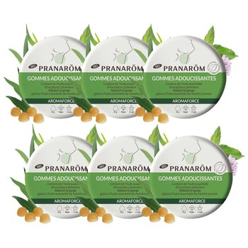 PRANAROM 프라나롬 오가닉 아로마포스 유칼립투스 소프트 민트 구미 45g 6팩