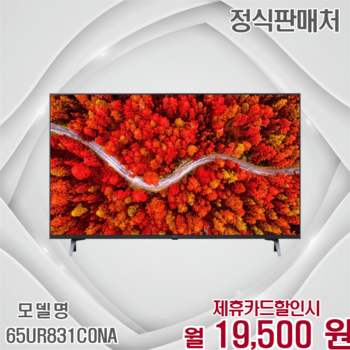 LG 울트라HD 스마트 대화면 TV 65인치 65UR831C0NA 60개월 32500
