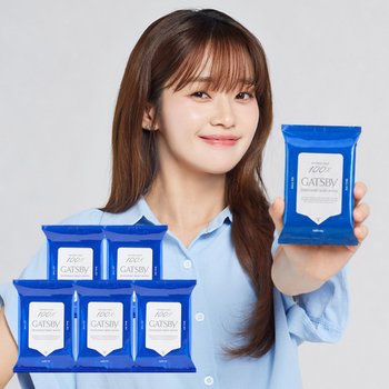 갸스비 아이스 데오도란트 바디 페이퍼 아이스 시트러스 10매 5개