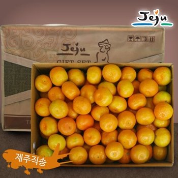 [올찬] 제주 하우스감귤 선물세트(중과)10kg 5-7번과 (81-120과 내외) / 제주직송