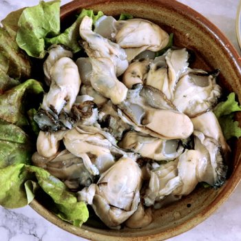 통영 햇 생굴 2kg내외